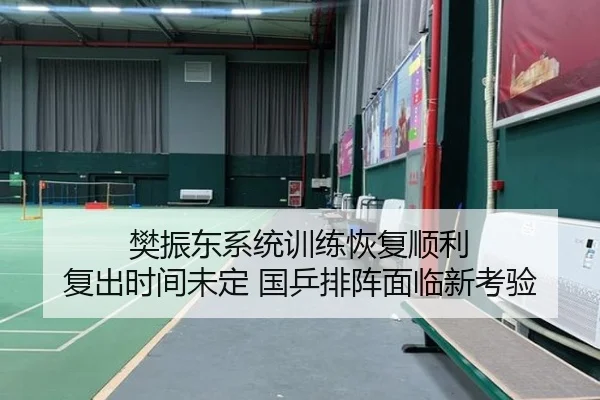 樊振东系统训练恢复顺利 复出时间未定 国乒排阵面临新考验